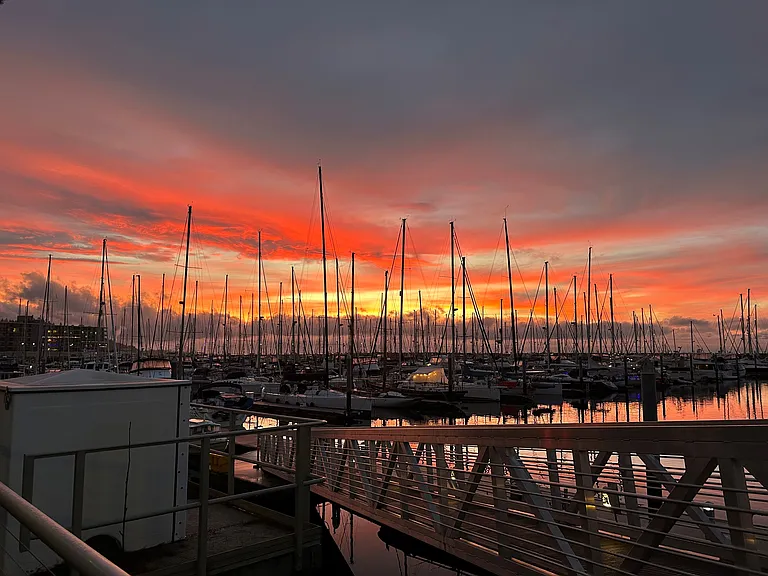 Shilshole Bay Marina - Adjacent to Golden Gardens and a great spot for a dog walk at sunset.