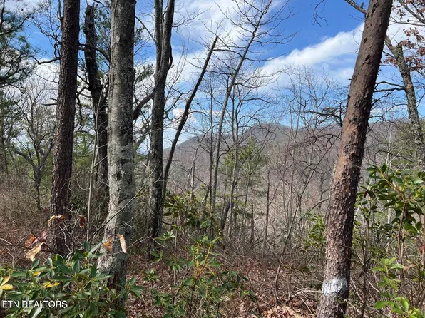 Chestnut Ridge Ct, Sevierville, TN 37876