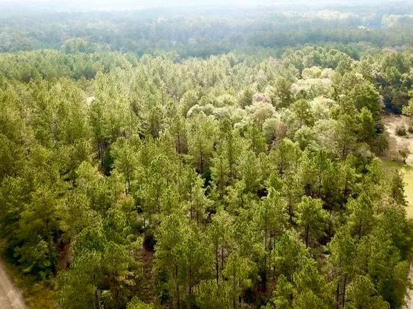 68/AC County Road 2310, Woodville, TX 75979