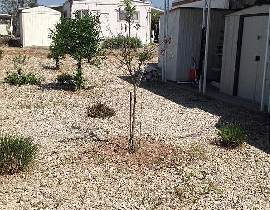 3rd image of 31816 Avenue E Spc 66