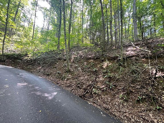 3rd image of 334 Ridgefield Dr