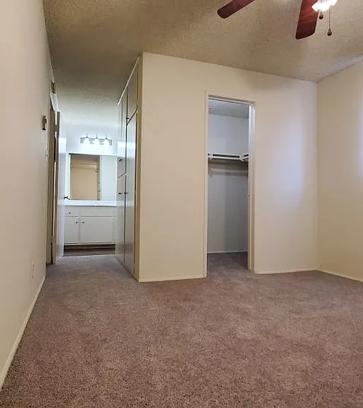 10635 Colima Rd — Photo 21