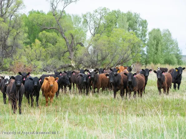 County Road 77, Craig, CO 81625