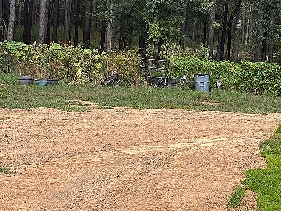 4th image of 4328 County Road 4239