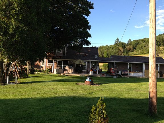 part of back yard