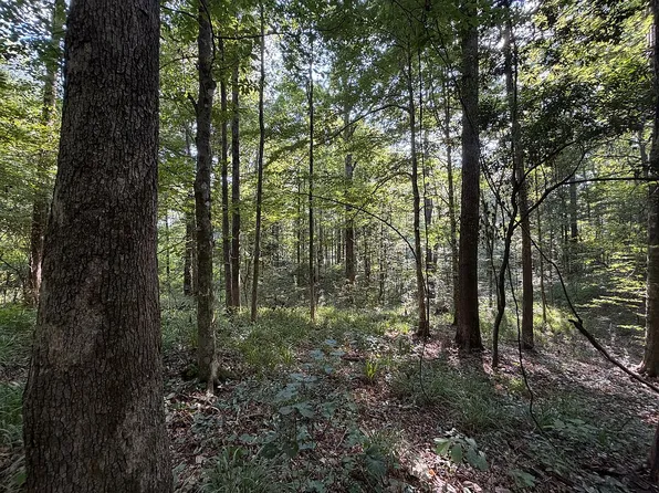 5 Pheasant Rdg, Petal, MS 39465