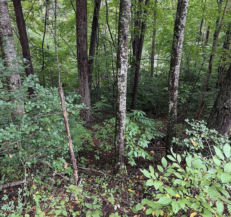 2nd image of 0 Little Wolf Creek Rd