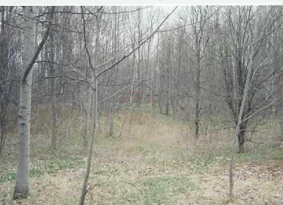 2nd image of Birchdale