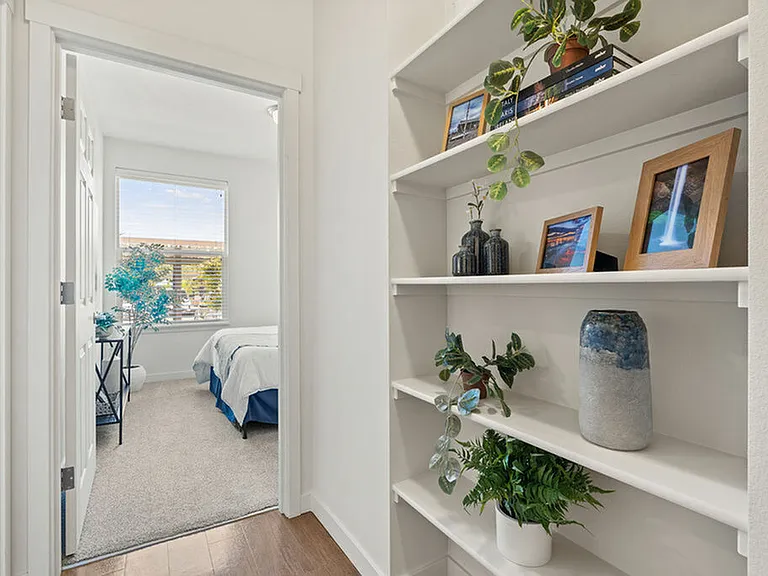 Built-In Shelves