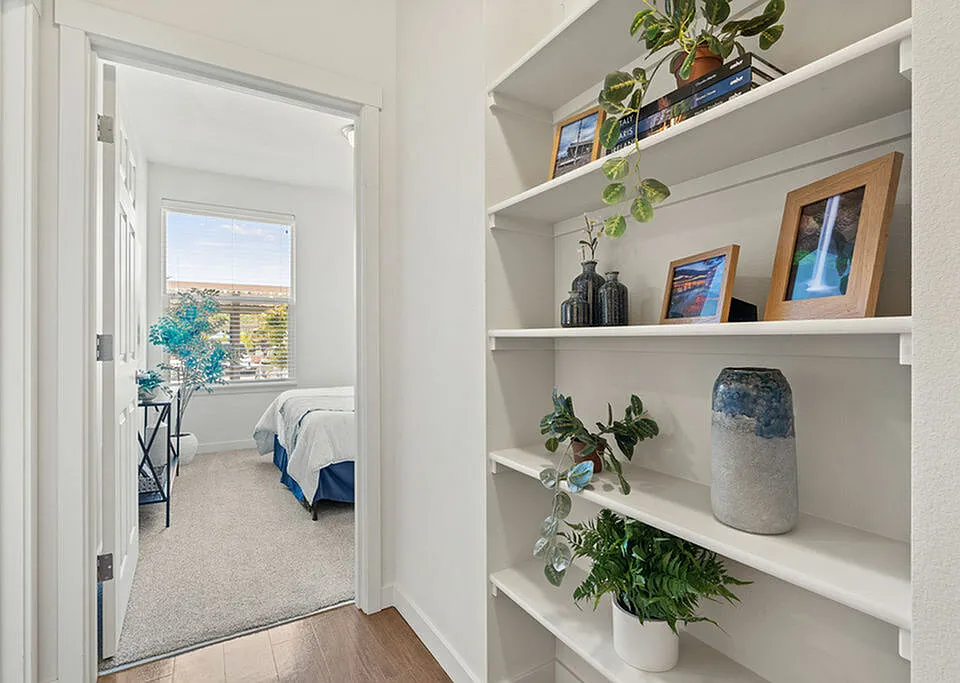 Built-In Shelves
