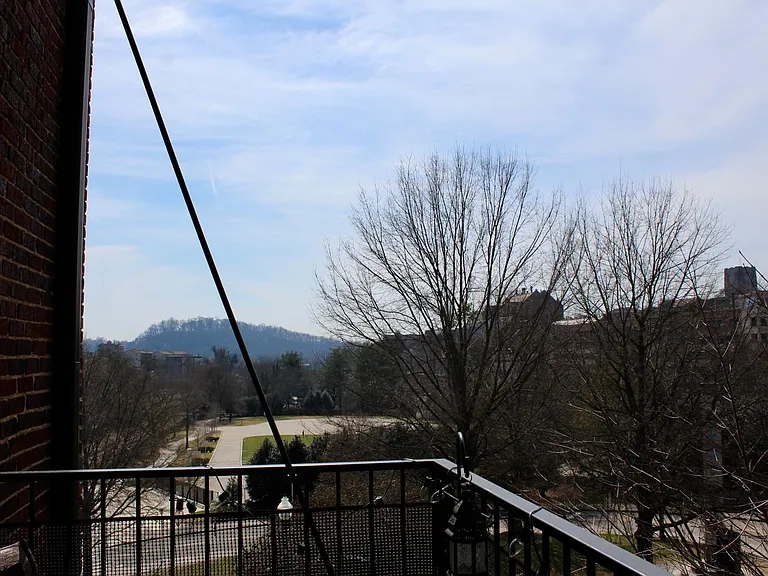 1060 Worlds Fair Park Dr #306 — Photo 13
