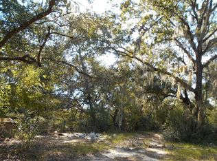 10767 NE 227th Place Rd, Fort Mc Coy, FL 32134