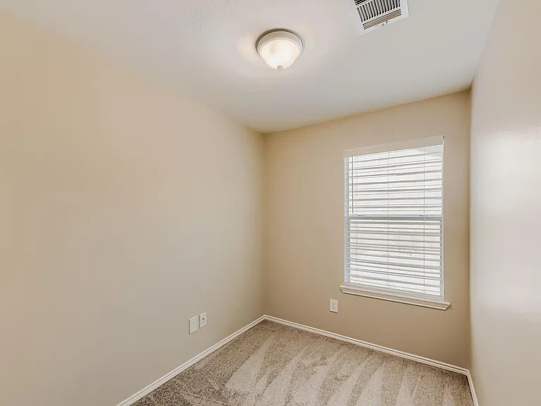 11 Wineberry Pl — Photo 11