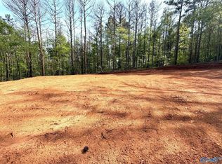 78 Pine St, Steele, AL 35987