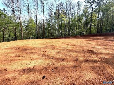 78 Pine St, Steele, AL, 35987