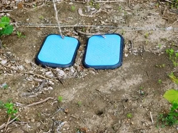 2624 County Road 2975, Windom, TX 75492