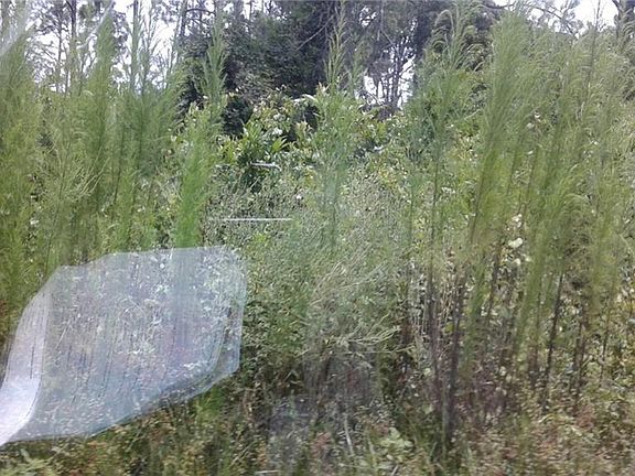 5th image of 4079 Quail Nest Ln