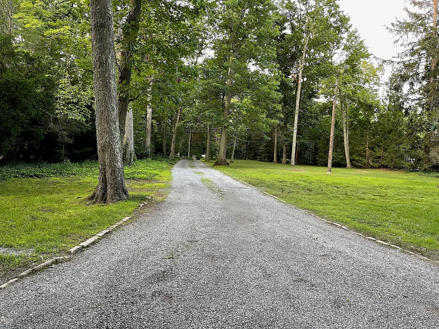 5 bed, 3.5 bath, 4000 sqft, $7,500 — Photo 4