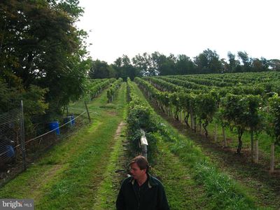 15137 Liberty Rd, Mount Airy, MD, 21771