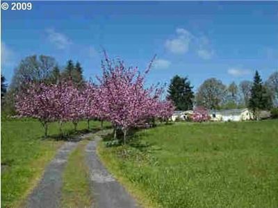 33831 S Highway 213, Molalla, OR, 97038