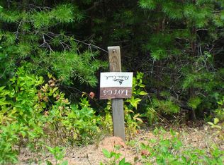 NULLC Cottage View Dr, Franklin, NC 28734