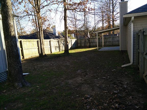 Back Yard 2