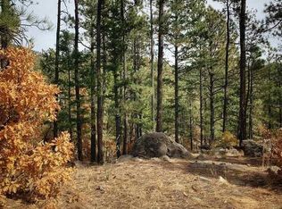 7 Christmas Tree Cyn, Mora, NM 87732