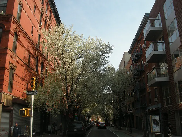 3 Clinton St #6 — Photo 8