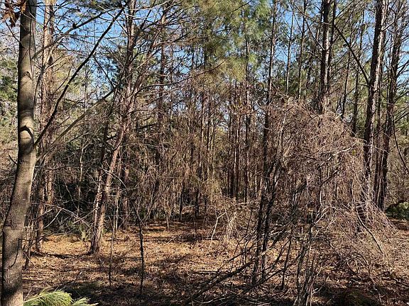 4th image of 2 Pyburn Dr