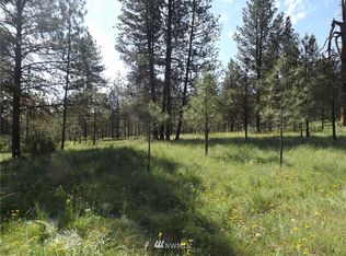 0 Lyman Lake Rd, Tonasket, WA 98855