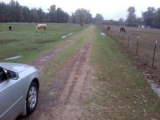 drive way close to roaod