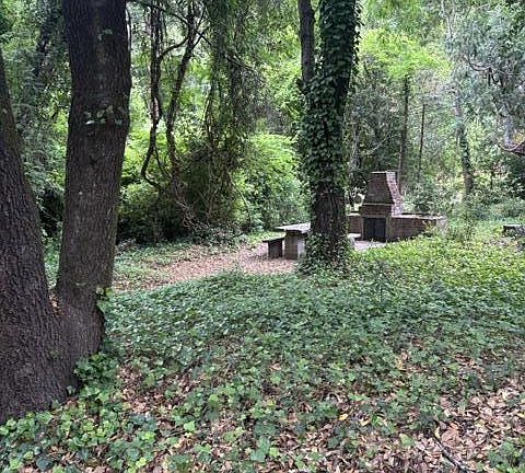 3rd image of Big Basin Way