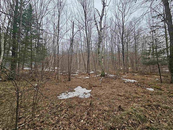 5th image of Porcupine Lake Rd