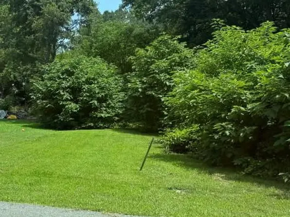 0 1st St, Greenwood, DE 19950