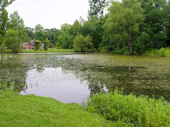 Lake at Back of Yard