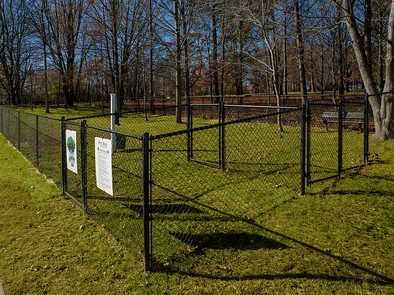 Fenced-In Dog Park