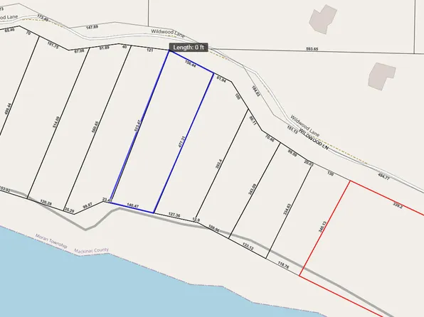 10 W Wildwood Ln, Moran, MI 49760