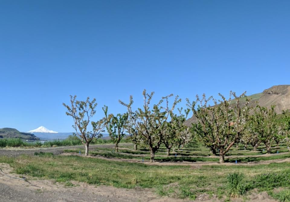 Panoramic view from side of house.