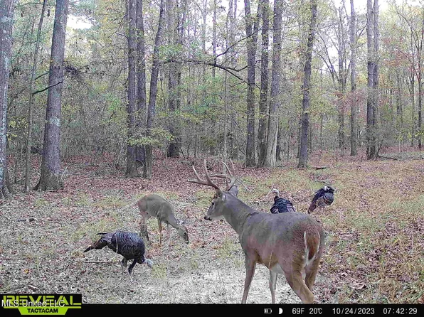2 Hebron Rd, Lexington, MS 39095