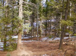 365 Paint Pony Ln, Florissant, CO 80816