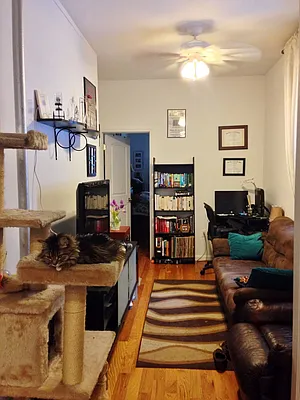 Rented by Sunrise Real Estate | media 6