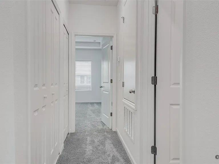 Laurent Loop — Photo 15