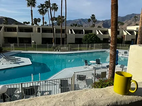 1655 E Palm Canyon Dr #110
