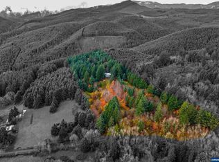 4011 Lucas Rd, Falls City, OR 97344