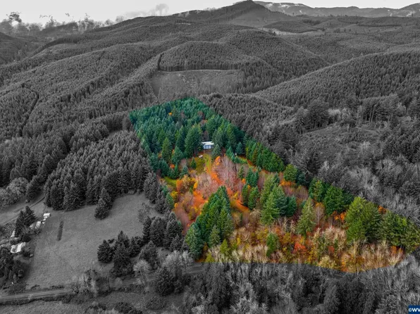 4011 Lucas Rd, Falls City, OR 97344