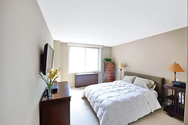 Rented by Peter Ashe | media 35