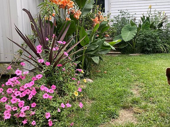 65th image of this home