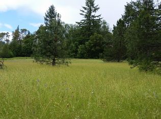 Coyote Creek Rd, Wolf Creek, OR 97497