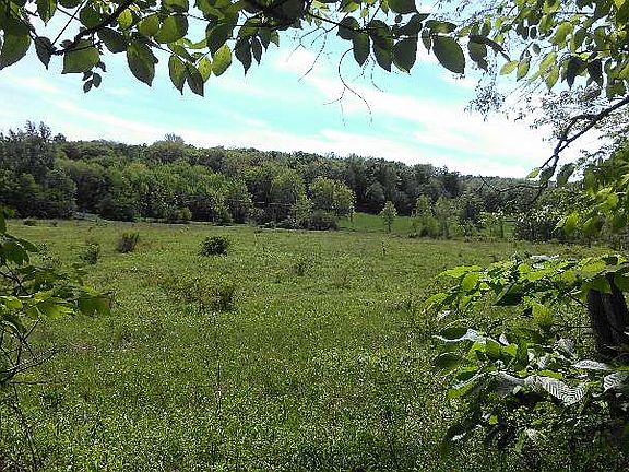 5th image of 819 Brooker Hollow Rd