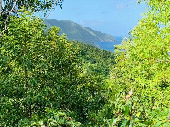 49 Prosperity NB, St. Croix, VI 00840